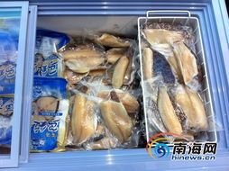 海南水產品現狀解讀 依賴出口、內銷滯后，亟待轉型升級